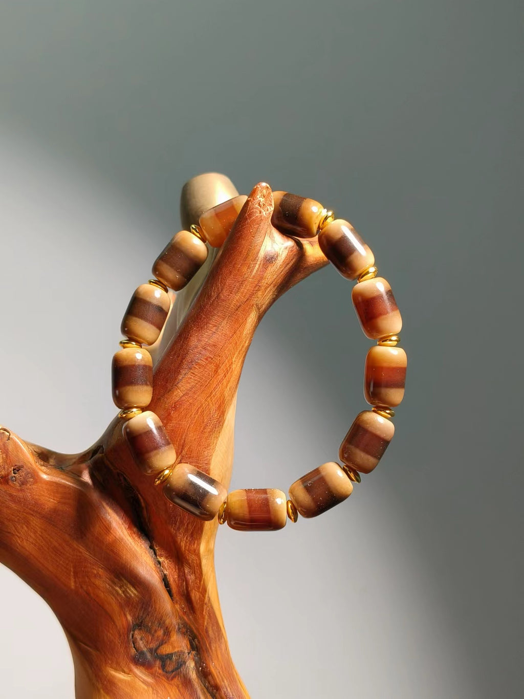 Agate Dzi Beads Snack Vein
