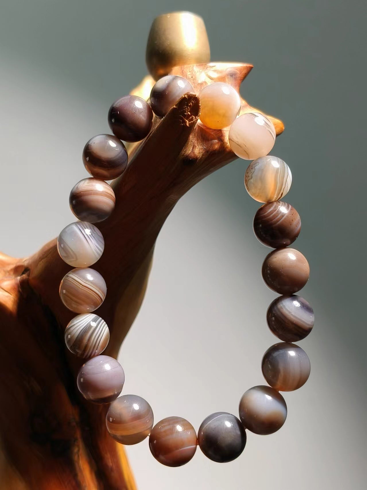 Botswana Agate 10mm Bracelet