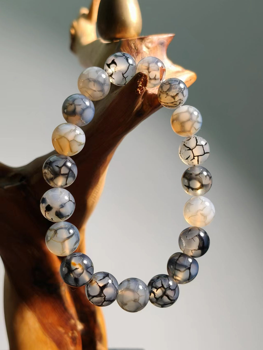 Agate Dargon Vein Collecction