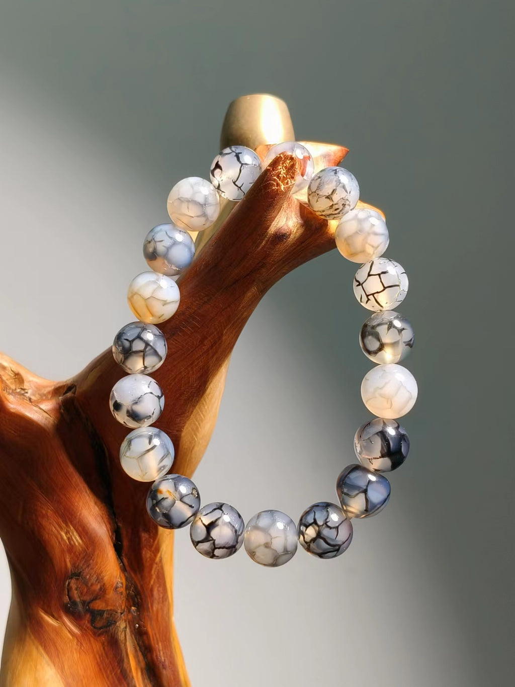 Agate Dargon Vein Collecction