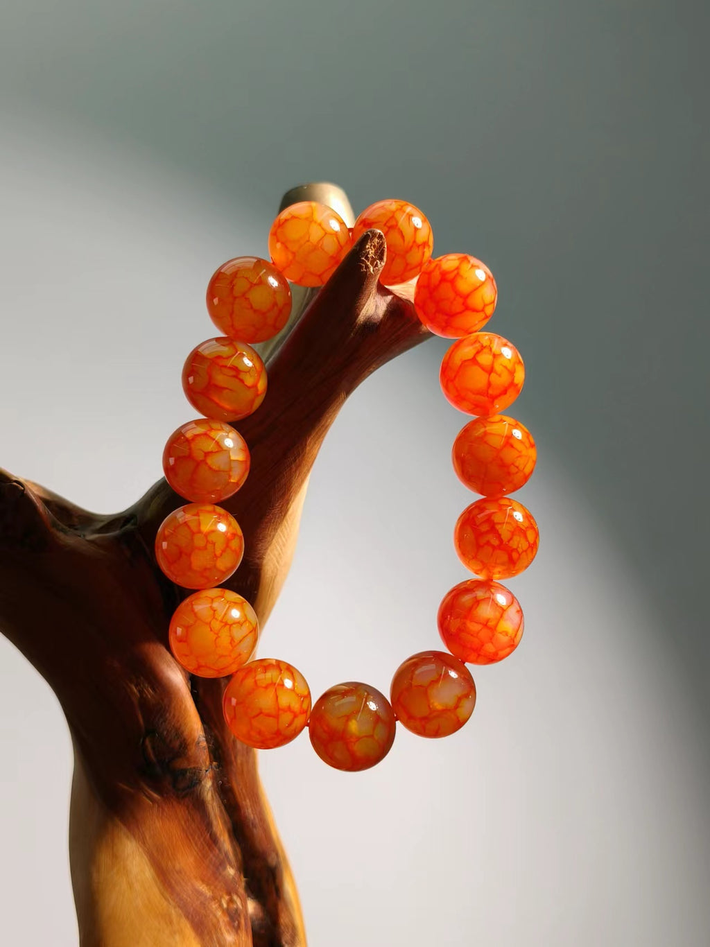 Agate Dargon Vein Collecction