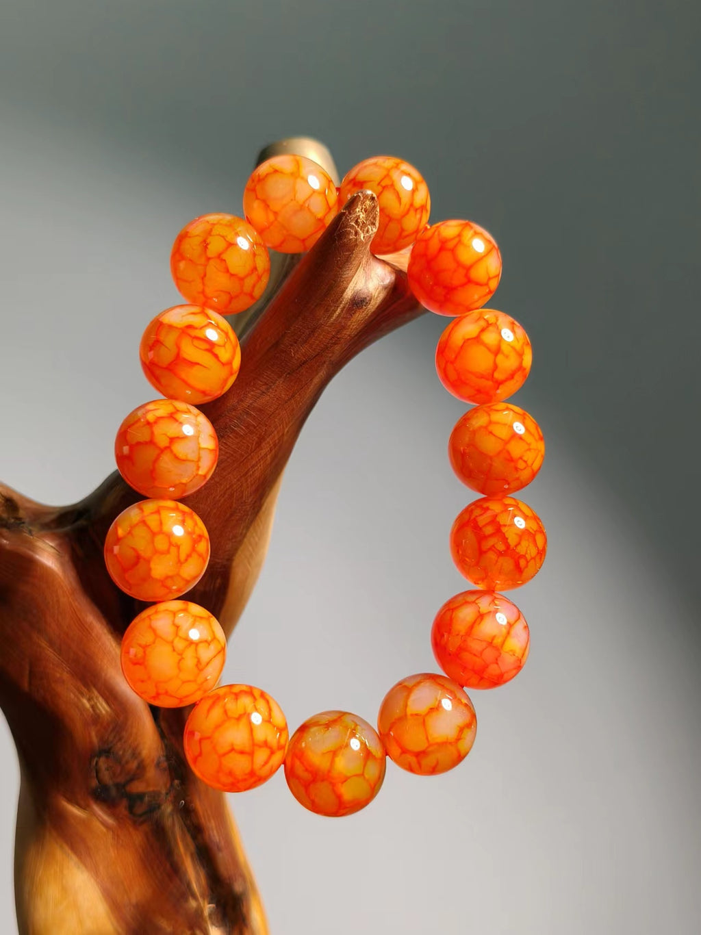 Agate Dargon Vein Collecction